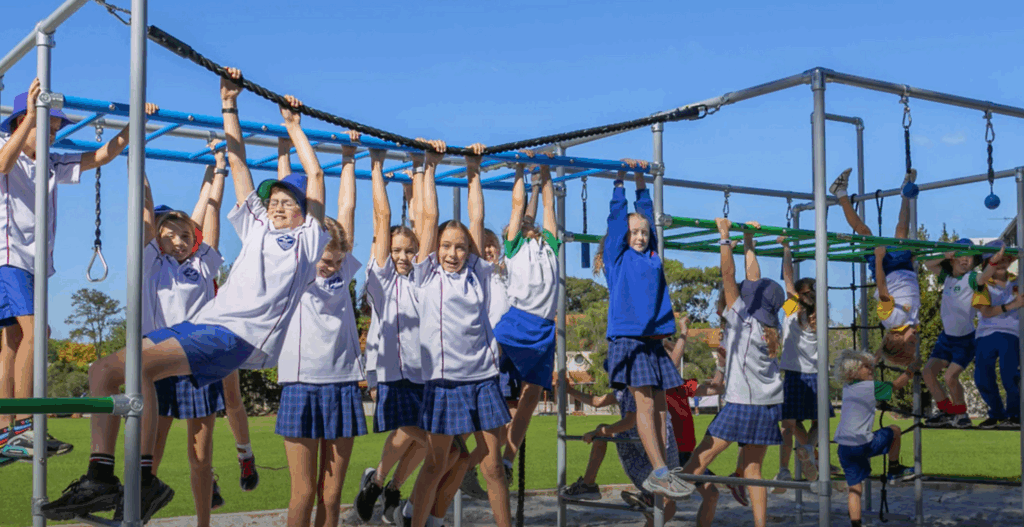 Funk Monkey bars