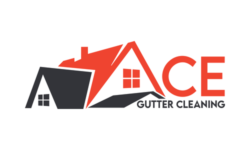 Ace Gutter Cleaning