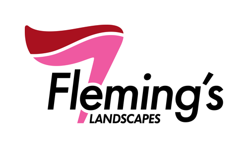 Flemings